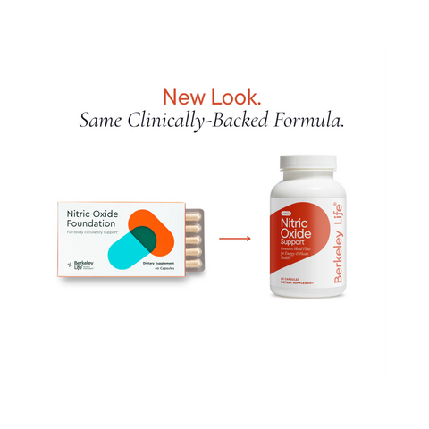 Nitric Oxide Foundation