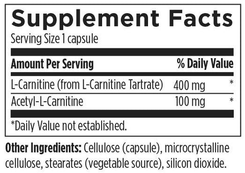 l-carnitine composition 3000 + Vitamin B6 Scenit - 500 ml Carnitine Synergy Vitopia Care